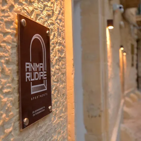 Anima Rudiae Privacy E Relax Nel Centro Storico Di Con Wifi E Aria Condizionata Lecce